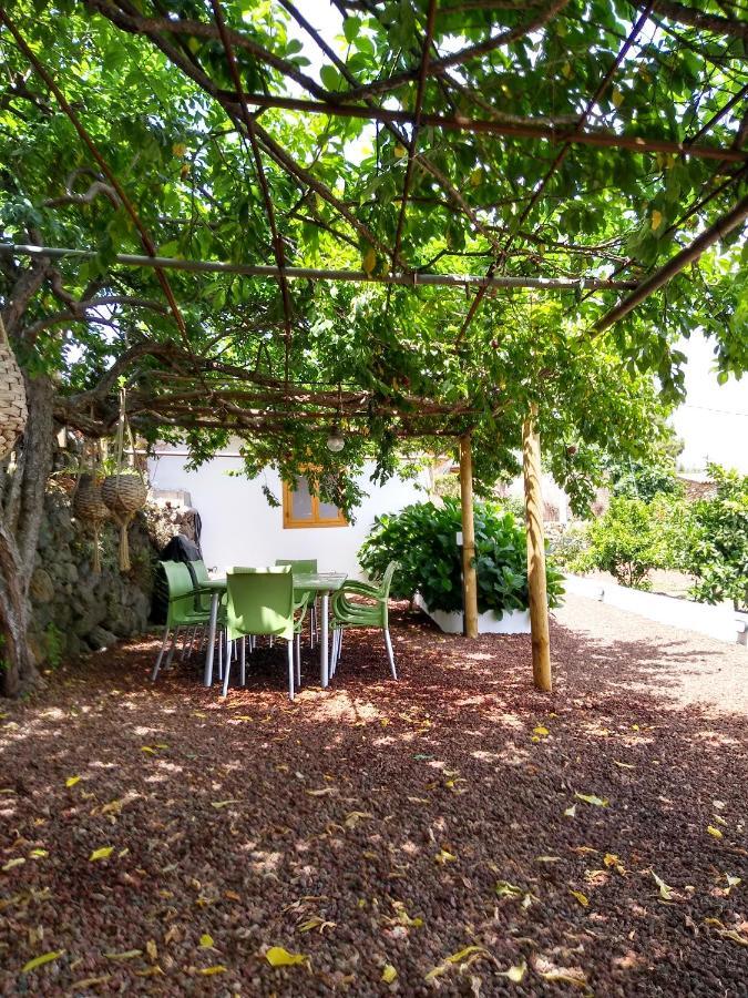 Los Huertos Conect With The Nature & Relax Ікод-де-лос-Вінос Екстер'єр фото